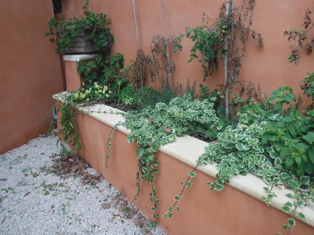 Appartement Le Romarin Mallemort Bagian luar foto